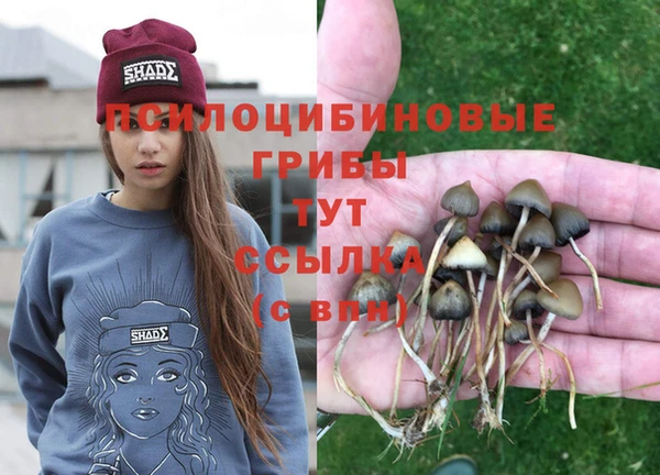 винт Иннополис